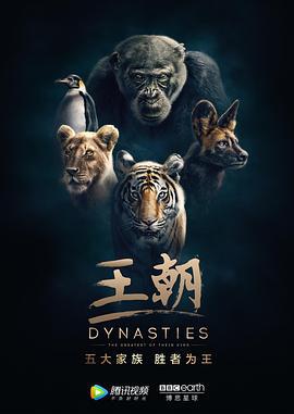 王朝 第一季 / Dynasties Season 1線上看