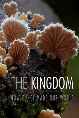 真菌王國 / The Kingdom: How Fungi Made Our World線上看