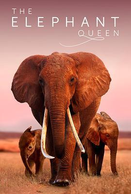 大象女王 / The Elephant Queen線上看