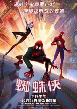 蜘蛛俠：平行宇宙 / Spider-Man: Into the Spider-Verse線上看