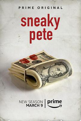 詐欺擔保人 第二季 / Sneaky Pete Season 2線上看