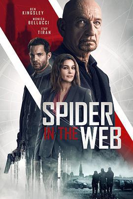 網中蜘蛛 / Spider In The Web線上看