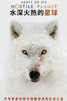水深火熱的星球 / Hostile Planet線上看