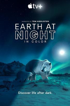 夜色中的地球 第二季 / Earth at Night in Color Season 2線上看