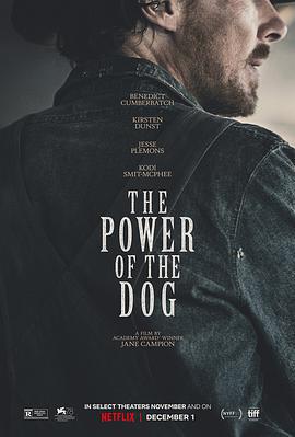 犬之力 / The Power of the Dog線上看