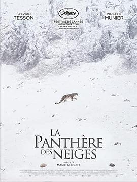雪豹女王 / La Panthère des neiges線上看
