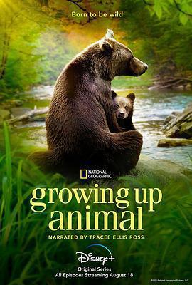 動物成長 / Growing Up Animal線上看