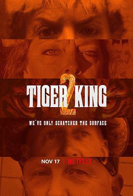 養虎爲患 第二季 / Tiger King 2 Season 2線上看