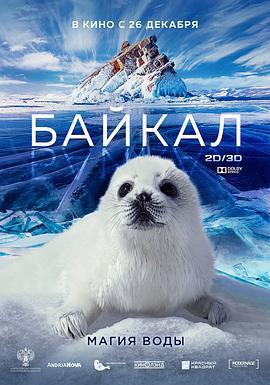 神奇的貝加爾湖 / Байкал: магия воды線上看