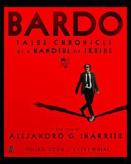 詩人 / Bardo, falsa crónica de unas cuantas verdades線上看