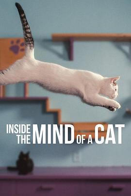 喵星人的奇思妙想 / Inside the Mind of a Cat線上看