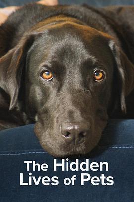 寵物的祕密生活 / The Hidden Lives of Pets線上看