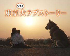東京犬愛情故事 / 東京犬ラブストーリー線上看
