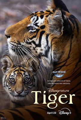 老虎 / Tiger線上看