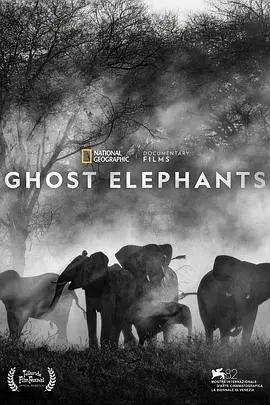 追尋幽靈大象 / Ghost Elephants線上看
