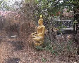 回家線上看