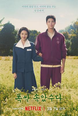 苦盡柑來遇見你 / 폭싹 속았수다線上看