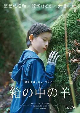盒子裡的羊 / 箱の中の羊線上看