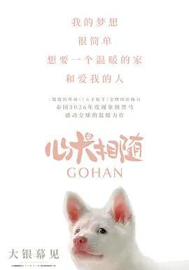 心犬相隨 / โกฮัง..หัวใจโกโฮม線上看