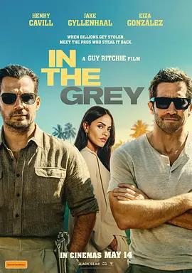 金諜行動 / In the Grey線上看