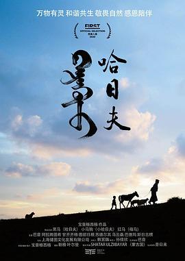 哈日夫線上看