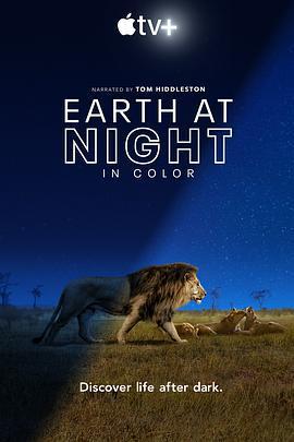 夜色中的地球 第一季 / Earth at Night in Color Season 1線上看