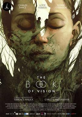 幻覺之書 / The Book of Vision線上看