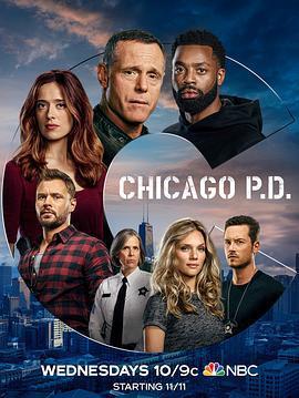 芝加哥警署 第八季 / Chicago P.D. Season 8線上看