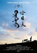 哈日夫 線上看