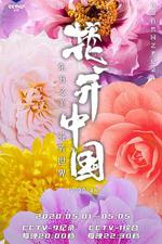 花開中國 線上看