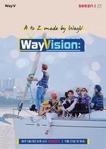 WayVision / 웨이비전 線上看