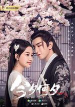 今夕何夕 線上看