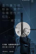 爾雅：包浩斯的革命 線上看