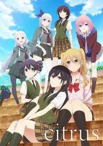 柑橘味香氣 / Citrus 線上看