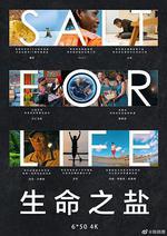 生命之鹽 線上看