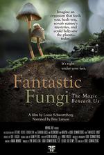 神奇的真菌 / Fantastic Fungi 線上看