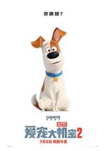 愛寵大機密2 / The Secret Life of Pets 2 線上看