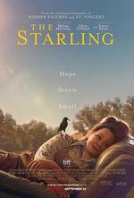 八哥 / The Starling 線上看