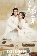 清風朗月花正開 線上看