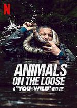 你的荒野求生電影版：出逃的野獸 / Animals on the Loose: A You vs. Wild Movie 線上看