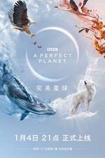完美星球 / A Perfect Planet 線上看