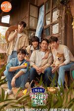 嚮往的生活 第五季 線上看