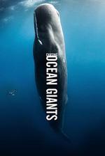 追蹤海洋巨獸 / Chasing Ocean Giants 線上看