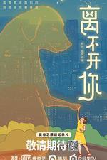 離不開你 線上看