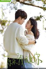 原來我很愛你 線上看