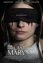 最後一眼 / The Last Thing Mary Saw 線上看