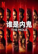 誰是內鬼 第一季 / The Mole Season 1 線上看