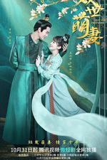 雙世萌妻 線上看