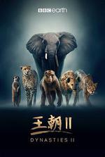 王朝 第二季 / Dynasties Season 2 線上看