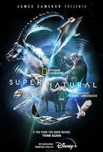 超凡動物奇觀 / Super/Natural 線上看